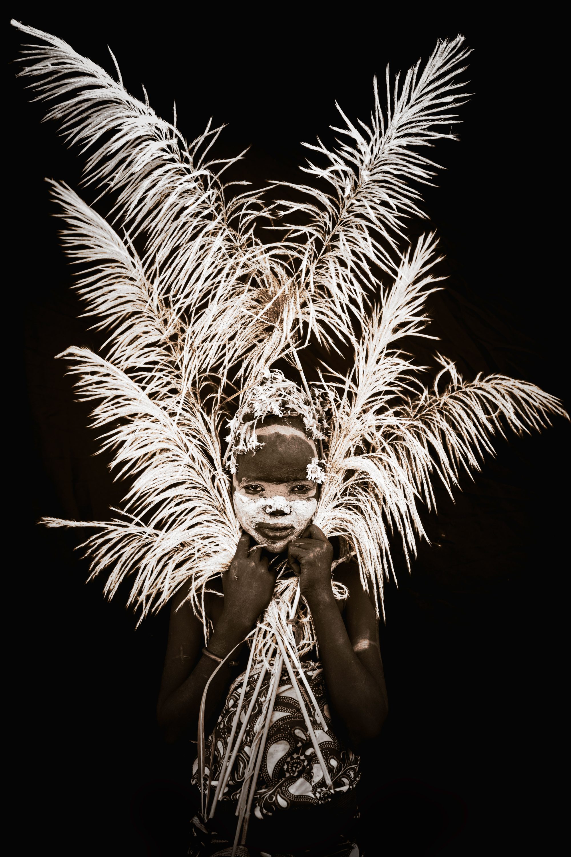 Wings of Fire